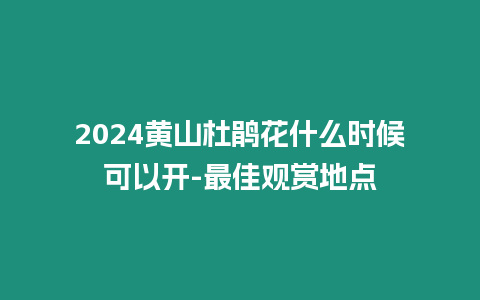 2024黃山杜鵑花什么時候可以開-最佳觀賞地點