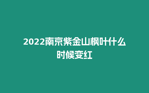 2024南京紫金山楓葉什么時候變紅