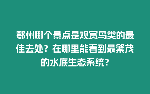 鄂州哪個(gè)景點(diǎn)是觀賞鳥(niǎo)類的最佳去處？在哪里能看到最繁茂的水底生態(tài)系統(tǒng)？