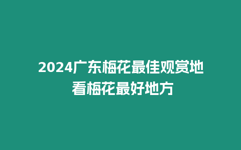 2024廣東梅花最佳觀賞地 看梅花最好地方