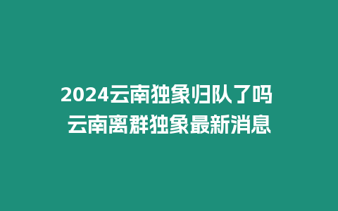 2024云南獨象歸隊了嗎 云南離群獨象最新消息