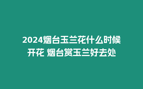 2024煙臺玉蘭花什么時候開花 煙臺賞玉蘭好去處