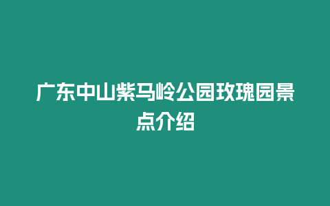 廣東中山紫馬嶺公園玫瑰園景點介紹