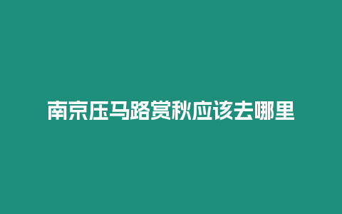 南京壓馬路賞秋應(yīng)該去哪里