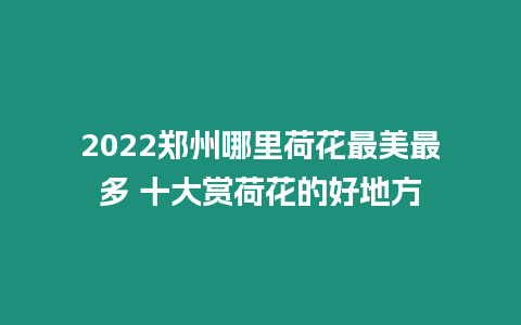 2022鄭州哪里荷花最美最多 十大賞荷花的好地方