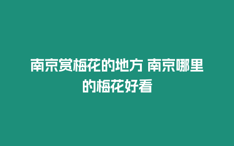 南京賞梅花的地方 南京哪里的梅花好看