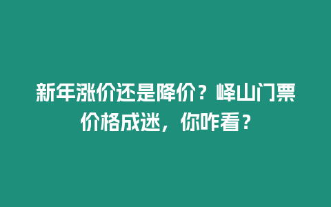 新年漲價還是降價？嶧山門票價格成迷，你咋看？