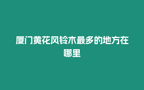 廈門黃花風鈴木最多的地方在哪里