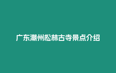 廣東潮州松林古寺景點介紹