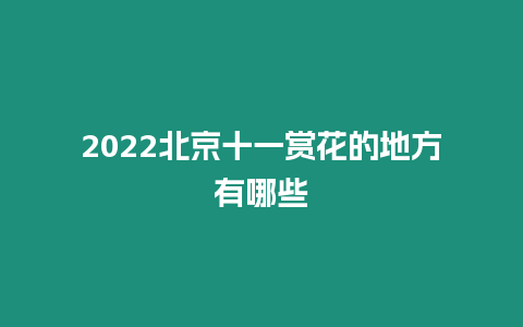 2024北京十一賞花的地方有哪些