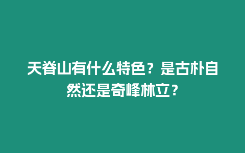 天脊山有什么特色？是古樸自然還是奇峰林立？