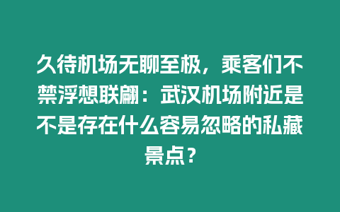 久待機場無聊至極，乘客們不禁浮想聯翩：武漢機場附近是不是存在什么容易忽略的私藏景點？