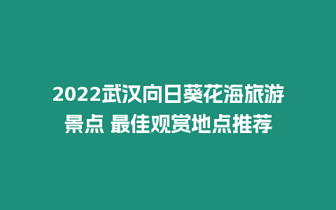 2024武漢向日葵花海旅游景點 最佳觀賞地點推薦