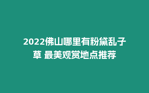 2024佛山哪里有粉黛亂子草 最美觀賞地點推薦