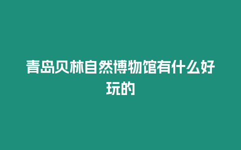 青島貝林自然博物館有什么好玩的