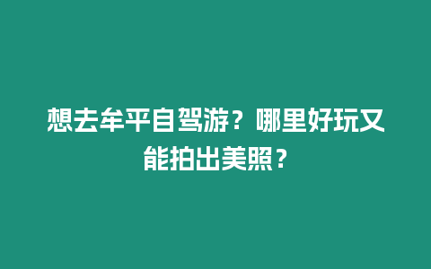 想去牟平自駕游？哪里好玩又能拍出美照？