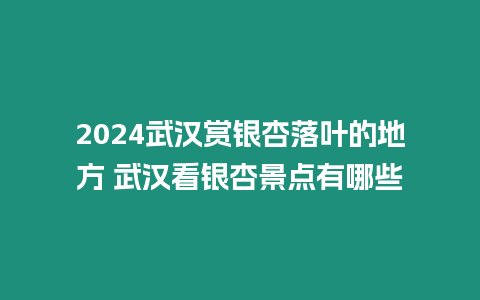 2024武漢賞銀杏落葉的地方 武漢看銀杏景點有哪些