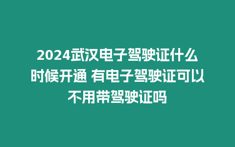 2024武漢電子駕駛證什么時候開通 有電子駕駛證可以不用帶駕駛證嗎