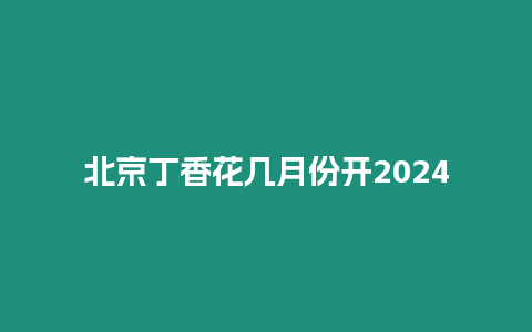 北京丁香花幾月份開2024