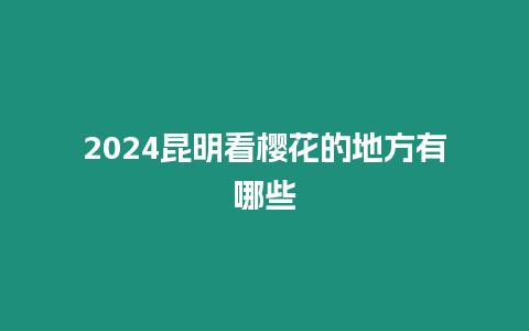 2024昆明看櫻花的地方有哪些