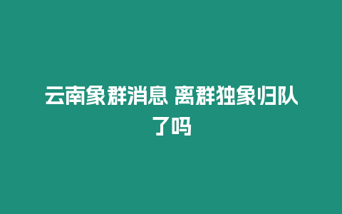 云南象群消息 離群獨象歸隊了嗎