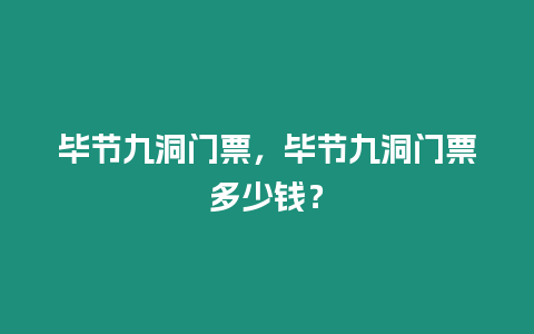 畢節九洞門票，畢節九洞門票多少錢？