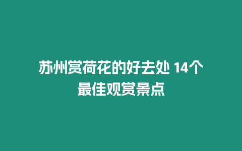 蘇州賞荷花的好去處 14個(gè)最佳觀賞景點(diǎn)