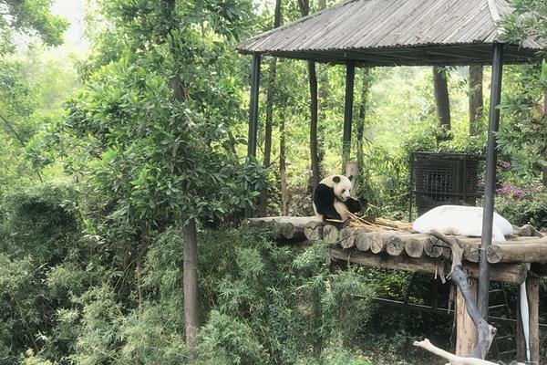 2024廣州長隆野生動物園中秋節門票優惠