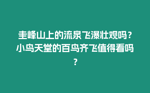 圭峰山上的流泉飛瀑壯觀嗎？小鳥天堂的百鳥齊飛值得看嗎？