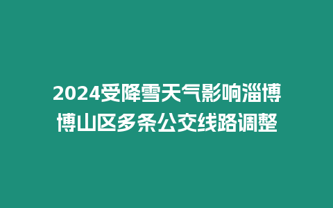 2024受降雪天氣影響淄博博山區(qū)多條公交線路調整