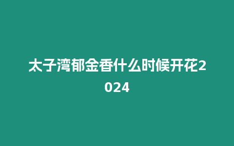 太子灣郁金香什么時候開花2024