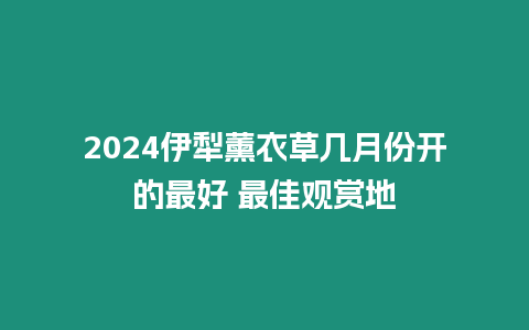 2024伊犁薰衣草幾月份開的最好 最佳觀賞地