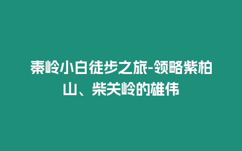 秦嶺小白徒步之旅-領(lǐng)略紫柏山、柴關(guān)嶺的雄偉