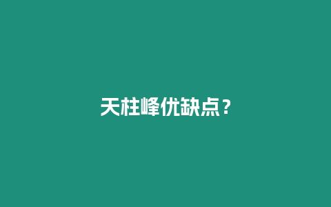 天柱峰優(yōu)缺點(diǎn)？