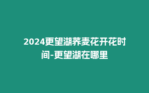 2024更望湖蕎麥花開花時間-更望湖在哪里