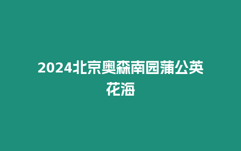 2024北京奧森南園蒲公英花海