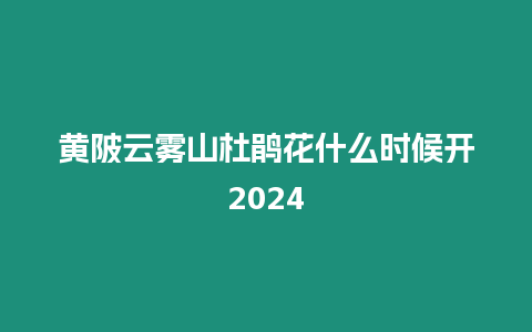 黃陂云霧山杜鵑花什么時候開2024