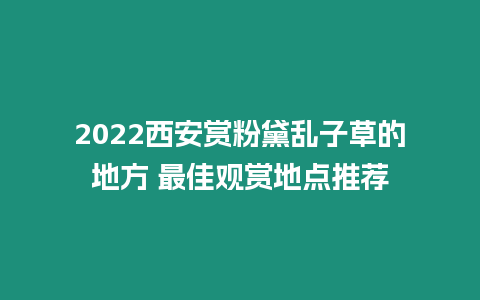 2024西安賞粉黛亂子草的地方 最佳觀賞地點推薦