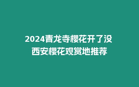 2024青龍寺櫻花開了沒 西安櫻花觀賞地推薦