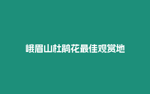 峨眉山杜鵑花最佳觀賞地