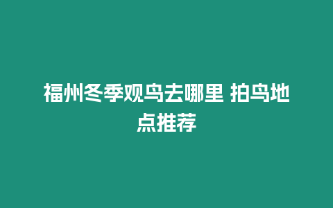 福州冬季觀鳥去哪里 拍鳥地點推薦