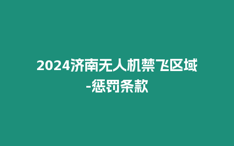 2024濟南無人機禁飛區域-懲罰條款