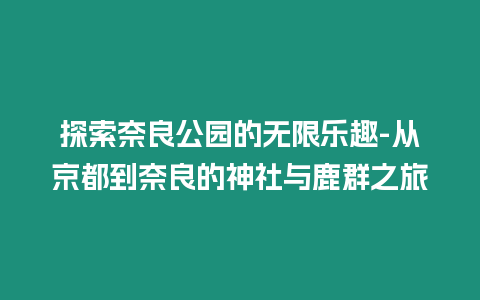 探索奈良公園的無限樂趣-從京都到奈良的神社與鹿群之旅