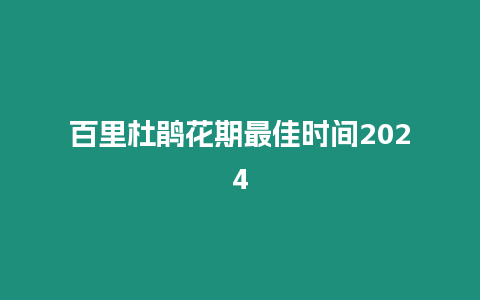 百里杜鵑花期最佳時間2024