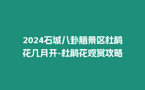 2024石城八卦腦景區杜鵑花幾月開-杜鵑花觀賞攻略