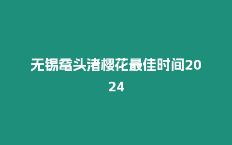 無錫黿頭渚櫻花最佳時間2024