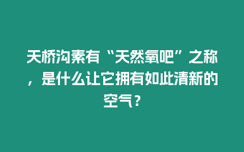 天橋溝素有“天然氧吧”之稱，是什么讓它擁有如此清新的空氣？