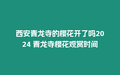 西安青龍寺的櫻花開了嗎2024 青龍寺櫻花觀賞時間