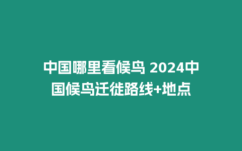 中國哪里看候鳥 2024中國候鳥遷徙路線+地點