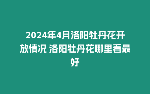 2024年4月洛陽牡丹花開放情況 洛陽牡丹花哪里看最好